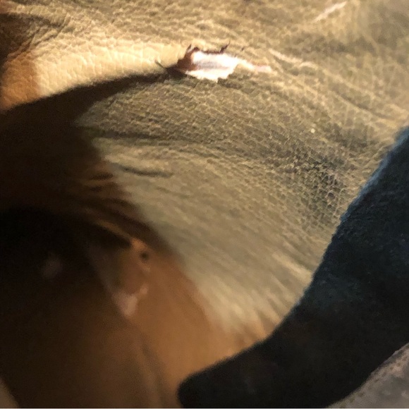 Lucky Brand Women’s 8M Pickla Ankle Boots Black Textured Suede Side Zip Booties - Picture 12 of 12